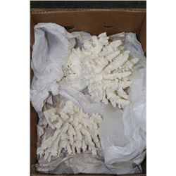 FLAT WITH ASSORTED CORAL PIECES