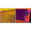 Image 1 : Henrietta Berk (20th Century) American, WHEAT; LEANING, (two) each an oil painting on canvas, 6...