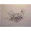Image 1 : Bruno Bruni (b. 1935) Italian, RECLINING NUDE, color lithograph, signed in pencil, artist's pro...