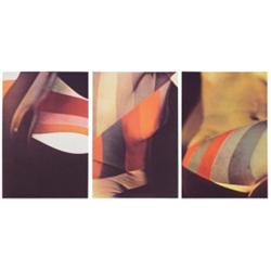 Eugenio Carmi (b. 1920) American, CHROMO CYNPLASMA (Nude) Series, 1971, three color screenprint...