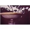 Image 1 : Avery Danzinger (20th Century) American, GARDEN OF BABYLON #12, 1979, color photograph, 16 x 20...