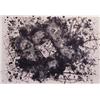Image 1 : Sam Francis (1923-1994) American, UNTITLED (L.239), 1980, four-color lithograph, signed in penc...