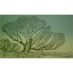 Naomi Limont, intaglio print  Morning , pencil