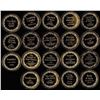 Image 2 : (19) 24K Gold Plated Sterling Silver 2 oz Coins 100 Greatest Masterpieces