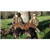 Image 1 : 2 Day Youth Turkey Hunt in California - donated by Just For Hunting Outfitters