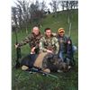 Image 1 : 2 Day Hog Hunt in California -donated by Just For Hunting Outfitters