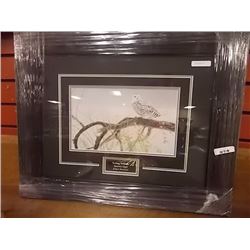 FRAMED PRINT - FALLEN WILLOW - SNOWY OWL - ROBERT BATEMAN - ESTIMATED GALLERY PRICE $