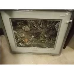 FRAMED LIMITED EDITION PRINT - TERRITORIAL DISPUTE - WRENS - ALAN HUNT - ESTIMATED GALLERY PRICE $