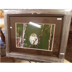 FRAMED PRINT - OWL - KEITH FOCANK - ESTIMATED GALLERY PRICE $