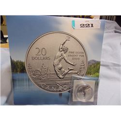 COIN - 2014 SUMMERTIME CANADIAN $20 - .999 FINE SILVER - RETAIL AT POST OFFICE ~$100