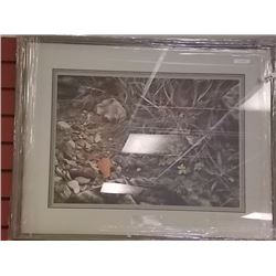 FRAMED LIMITED EDITION PRINT - TERRITORIAL DISPUTE - WRENS - ALAN HUNT - ESTIMATED GALLERY PRICE $