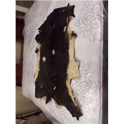 BOSCH TASSIMO COFFEE MAKER