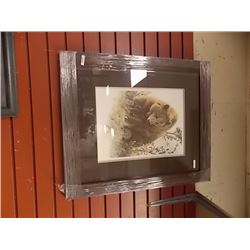 FRAMED LIMITED EDITION PRINT - GRIZZLY IN THE CHOKE CHERRIES - AMY BRACKENBURY - ESTIMATED GALLERY P
