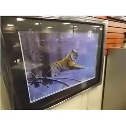 FRAMED LIMITED EDITION PRINT - SIBERIAN MAJESTY - TIGER - ROD TRIBIGER - ESTIMATED GALLERY PRICE $