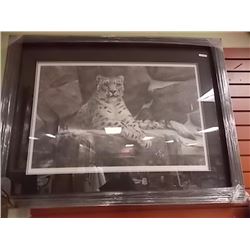 FRAMED LIMITED EDITION PRINT - HIMALAYAN HUNTER - SNOW LEOPARD - READLEY PARISH - ESTIMATED GALLERY 