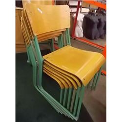 REAL ANIMAL BONE - JAWS BONE WITH TEETH