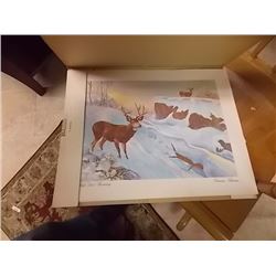 WILDERNESS PRINTS