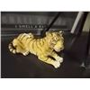 Image 1 : RESSIN TIGER