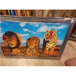 FRAMED PRINT ON BOARD "WILD CATS