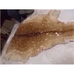 DEER PELT