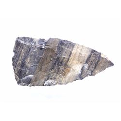 Pre-Historic Scottsbluff Spear Point Texas 10000BP