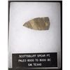 Image 3 : Pre-Historic Scottsbluff Spear Point Texas 10000BP