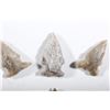 Image 6 : Ancient Arrowhead Artifacts from South Dakota