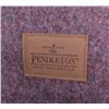 Image 3 : New Glacier National Park Pendleton Blanket