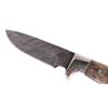 Image 3 : CFK Damascus & Exotic Camel Bone Knife
