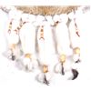 Image 4 : Native American Willow Hope Stretch Beaver Hide