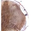 Image 6 : Native American Willow Hope Stretch Beaver Hide