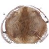 Image 7 : Native American Willow Hope Stretch Beaver Hide