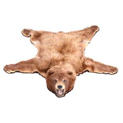 Montana Cinnamon Black Bear Trophy Rug