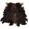 Image 1 : Montana Trophy Moose Hide