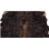 Image 3 : Montana Trophy Moose Hide