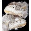 Image 3 : Northern Plains Wolf Scout Mittens 19th-20th C.