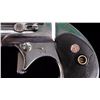 Image 7 : American Weapons Corp. Frontier Model Derringer