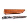 Image 1 : CFK Damascus & Exotic Camel Bone Knife