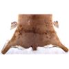 Image 14 : Collection Of Montana Fawn Deer Hides