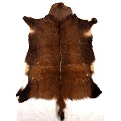Collection Of Montana Fawn Deer Hides