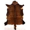 Image 1 : Collection Of Montana Fawn Deer Hides