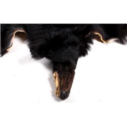 Montana Black Bear Hide