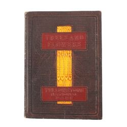 RARE Trees & Flowers of Yellowstone National Park