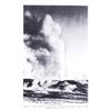 Image 14 : Yellowstone National Park Book Collection