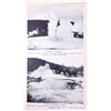 Image 9 : Yellowstone National Park Book Collection
