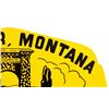 Image 3 : Yellowstone Park License Plate Topper