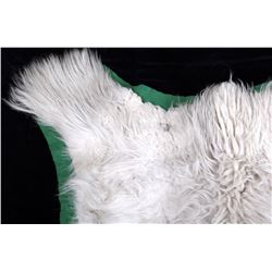 Montana Mountain Goat Taxidermy Rug