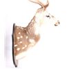 Image 3 : Trophy Fallow Deer Shoulder Mount