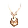 Image 5 : Trophy Fallow Deer Shoulder Mount