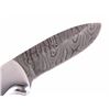 Image 1 : CFK Damascus & Exotic Camel Bone Knife